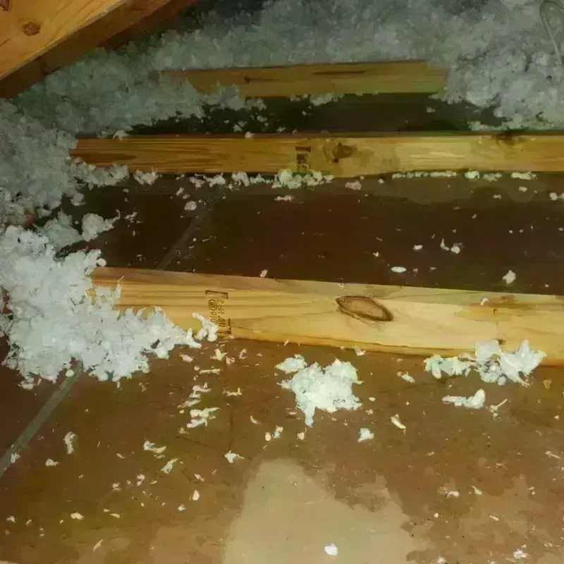 Attic Water Damage in Woodbridge, VA