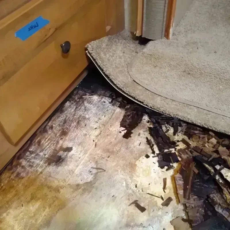 Wood Floor Water Damage in Woodbridge, VA